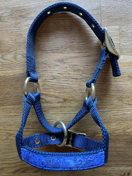Alpaka Halfter Blau mit Overlay Bandana